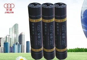 天津防水材料市場(chǎng)概述 類型、應(yīng)用與選購(gòu)指南